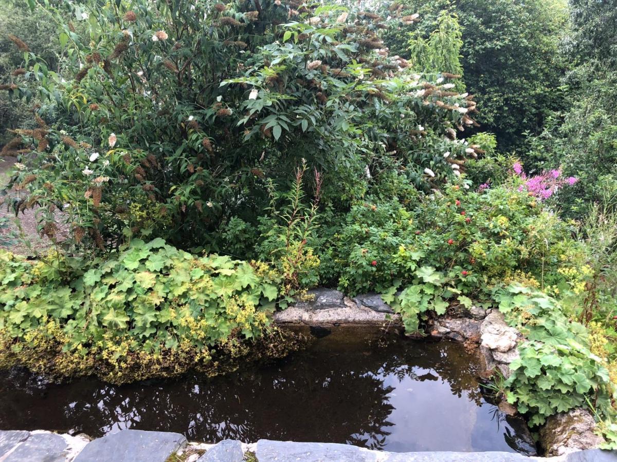 Bryn Melyn Farm Cottages Bala Luaran gambar
